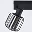 2-light ceiling spotlight Dua - smoked glass with rotatable spotlights