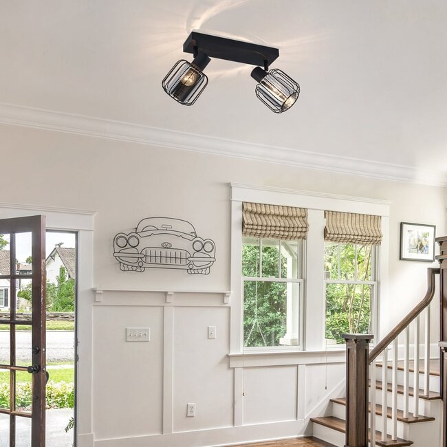 Ceiling light with smoked glass and rotating spotlights, 2-bulb - Dua