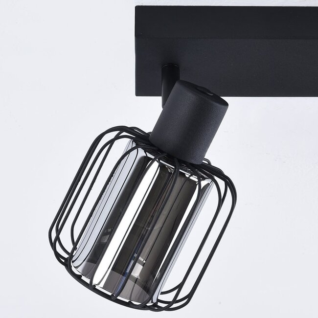 Ceiling light with smoked glass and rotating spotlights, 2-bulb - Dua