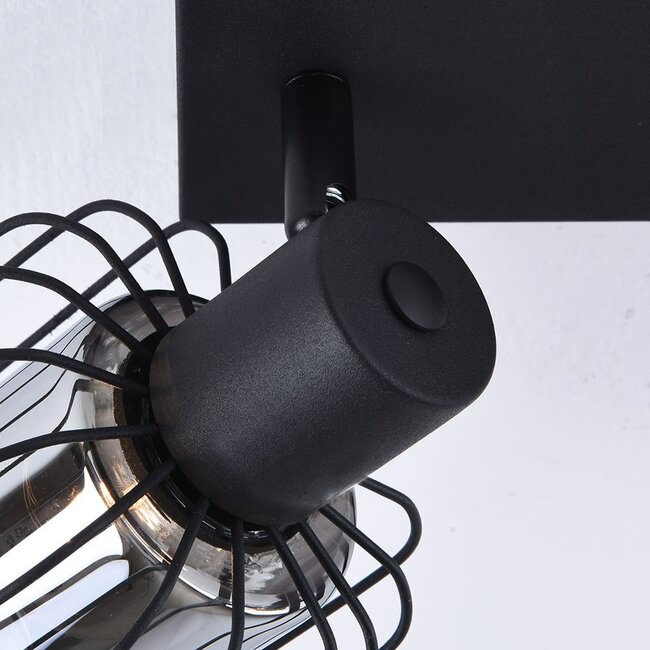 Ceiling light with smoked glass and rotating spotlights, 2-bulb - Dua