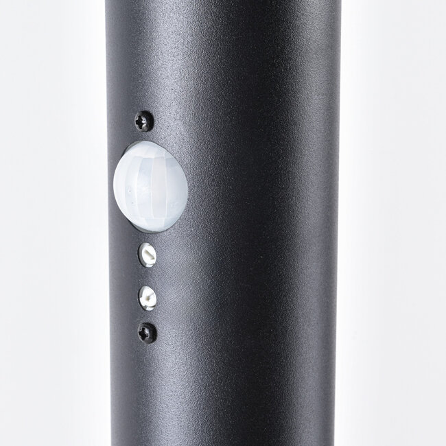 Modern outdoor lamp Bruno black with sensor, 80 cm