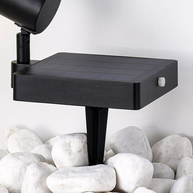 Black Spotlight Outdoor Light Valerio - black