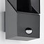 Robust outdoor wall light Jasper - anthracite with sensor