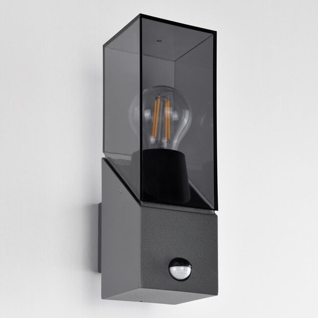 Robust outdoor wall light Jasper - anthracite with sensor