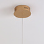 Dimmable gold pendant light with LEDs - Harvey