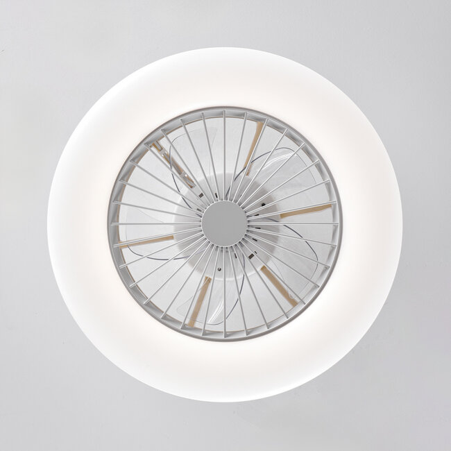 Cakir Ceiling Fan with Star Effect and Adjustable Colour Temperature