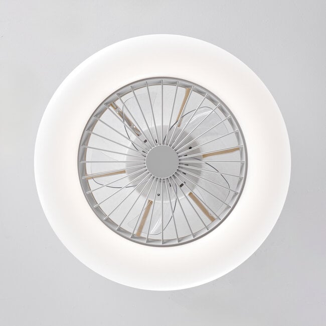 Ceiling fan Cakir with LED and adjustable light colour