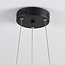 Modern pendant lamp Roundy in matte-black metal