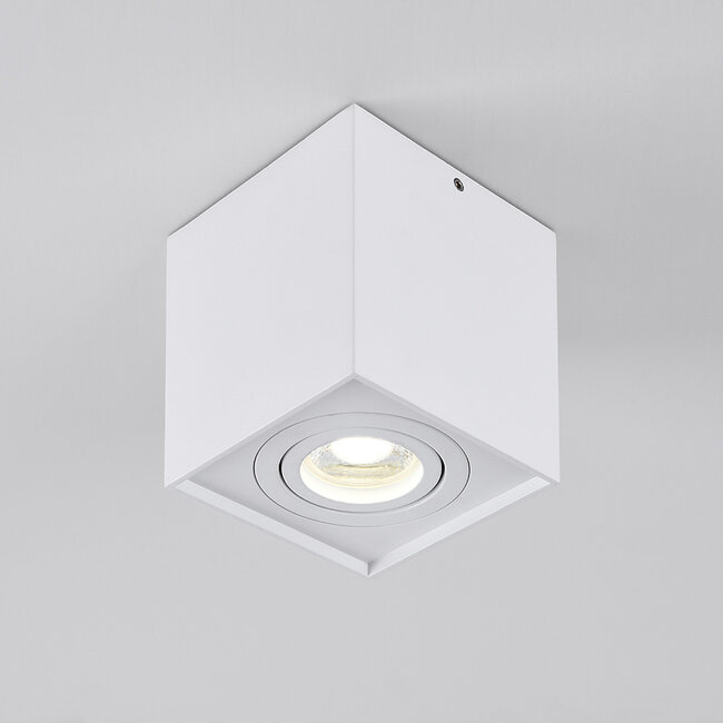 Design spotlight Carl, tiltable - white