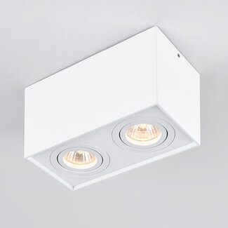 Design spot Timmy tiltable, 2-lights - white