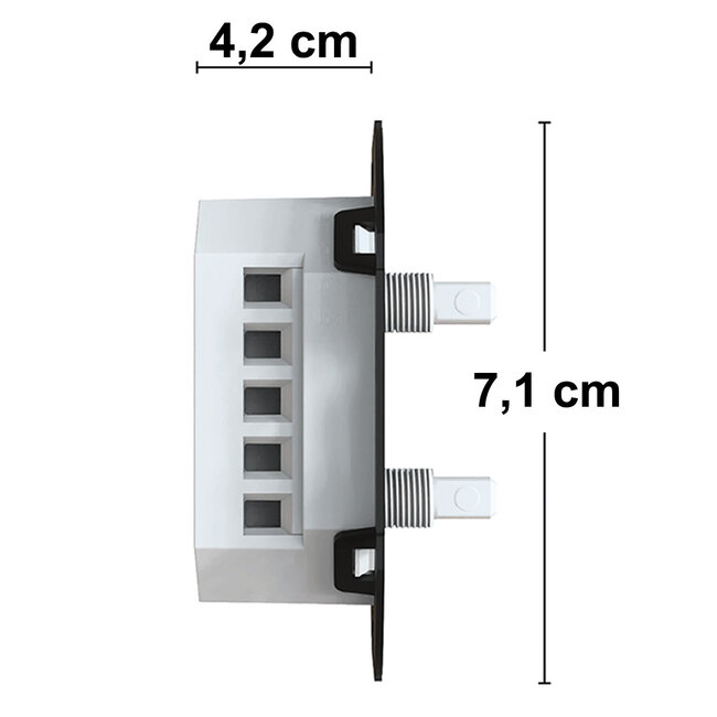 2-gang flush-mounted dimmer switch, 2 x 0–200W