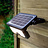 Solar lights