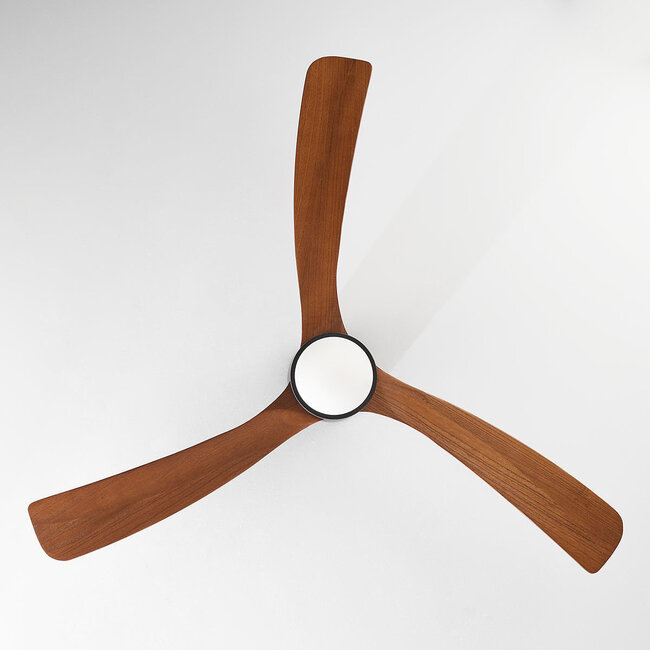 Rani ceiling fan with oak blades, including LED