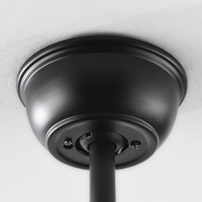 Ceiling fan Uccello - bronze with oak wood blades