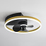 Ceiling fan Lichi with integrated LEDs and remote control