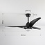 Black ceiling fan with light and adjustable colour temperature - Wieke