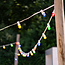 Blue filament style LED bulbs - 3,5 watt