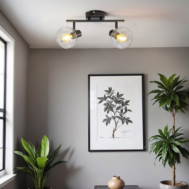 Ceiling lights black with transparent glass, 2-light - Jenthe