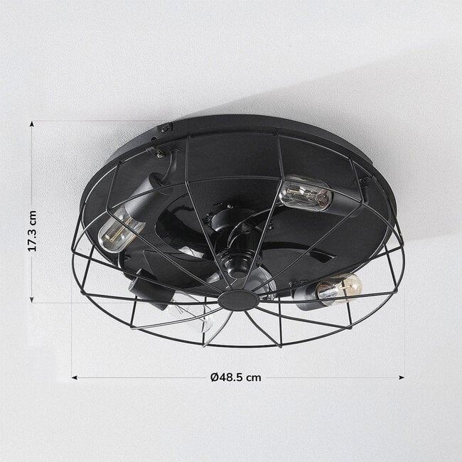 Industrial ceiling fan Fistik - black with summer/winter function