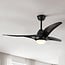 Ceiling fan Wieke - black with adjustable colour temperature