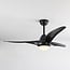 Ceiling fan Wieke - black with adjustable colour temperature