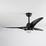 Ceiling fan Wieke - black with adjustable colour temperature