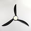 Ceiling fan Wieke - black with adjustable colour temperature