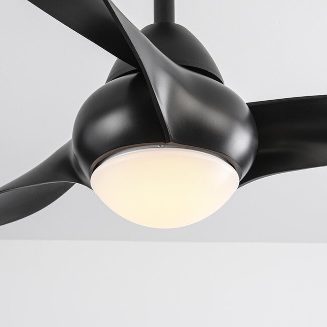 Ceiling fan Wieke - black with adjustable colour temperature