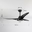 Ceiling fan Wieke - black with adjustable colour temperature
