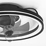 Black ceiling fan with summer/winter function and adjustable Colour temperature - Ikaros