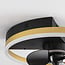 Ceiling fan Lichi with integrated LED and remote control