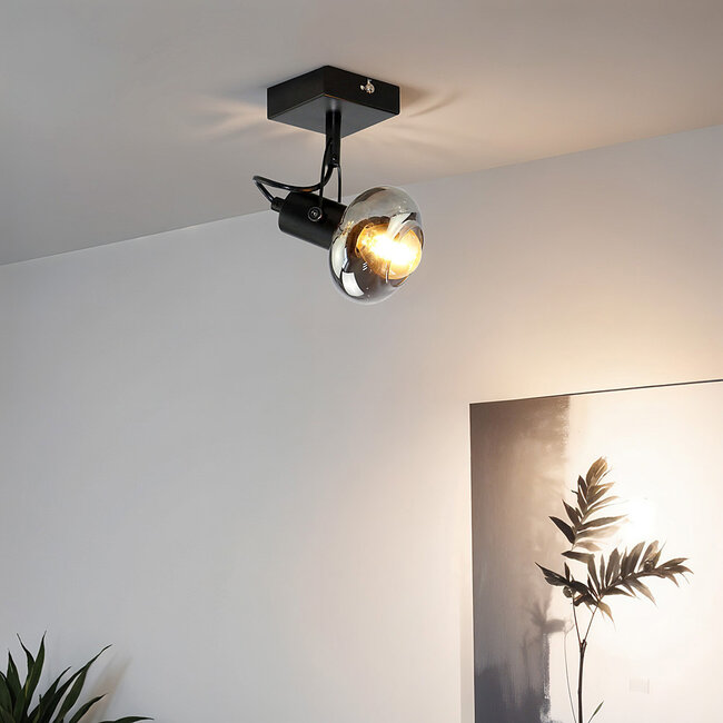 Ceiling lamp with smoked grey glass, 1-light - Sacha