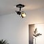 1-light ceiling light Sacha with smoked grey glass - black