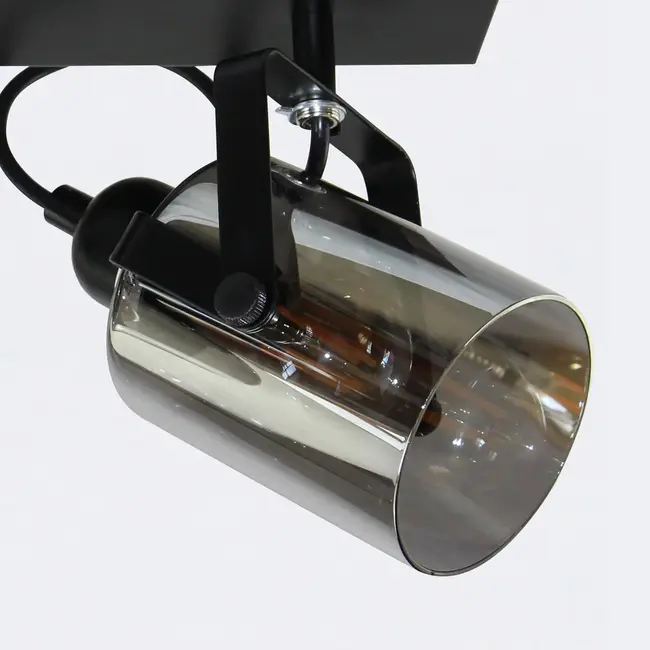 Ceiling lamp with smoked grey glass, 4-light - Lucie