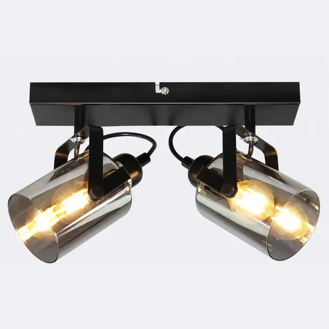 Ceiling light with smoked grey glass, 2-light - Ryan