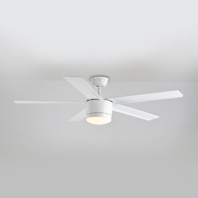 5-blade modern ceiling fan Rico incl. LED - white