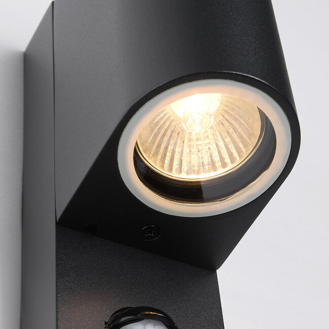 Modern Black outdoor wall lamp, 2-light, including sensor - Curtis