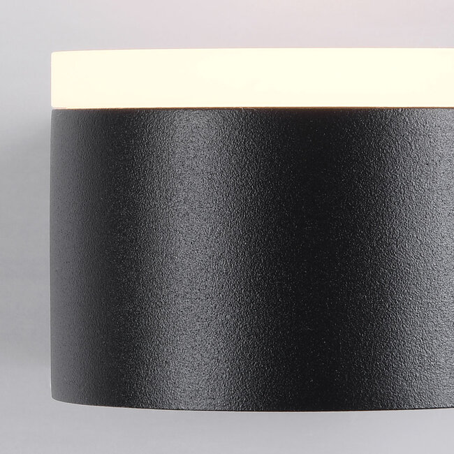 Feline outdoor wall light with integrated LEDs - Black