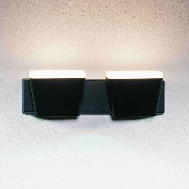 Industrial wall lamp Freddy 2-light - Black