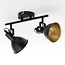 Black and Gold Designer lighting ceiling spotlight with two -light - Alexandria