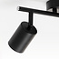 Modern 2-light ceiling lamp Mitch in black