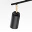 Ceiling lamp Cody 2-light in black and gold