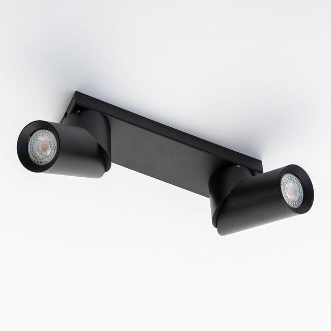 2-light industrial ceiling light Libby - black