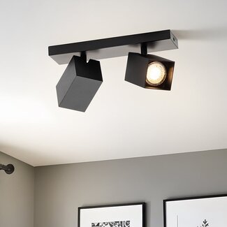 Industrial ceiling lamp with 2 spots - Cal