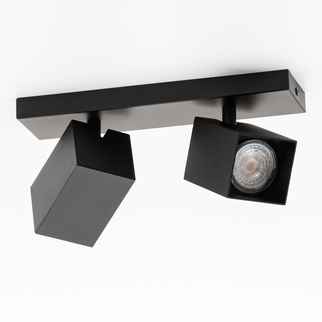 Industrial ceiling lamp with 2 spots - Cal