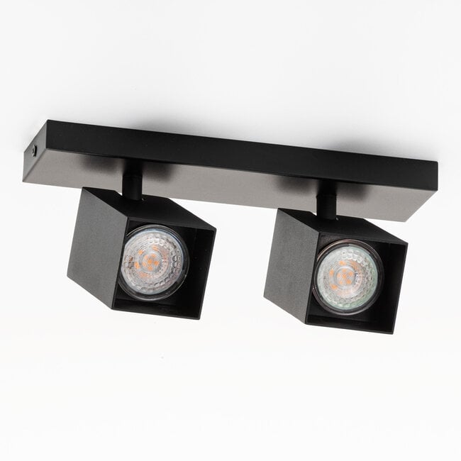 Industrial ceiling light Cal 2-light - square