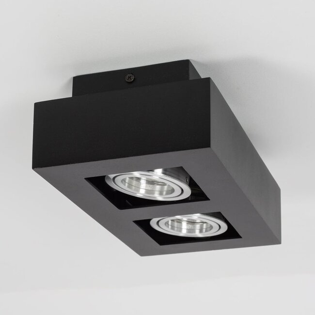 Benny luxury 2-light surface-mounted spotlight in black