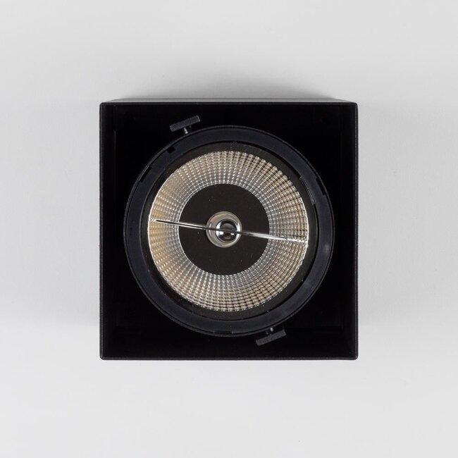 AR111 Surface mounted spotlight 1-light Willow - black