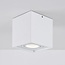 Carl designer spotlight, adjustable, white