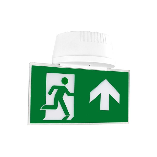 Flush mounted and surface mounted emergency lighting LXL-MM